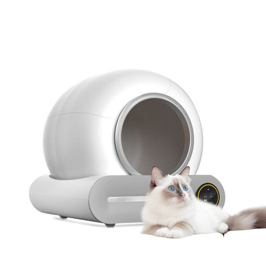 KatteBox – Automatic Smart Self-Cleaning Litter Box